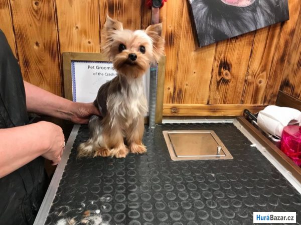 detailní fotografie