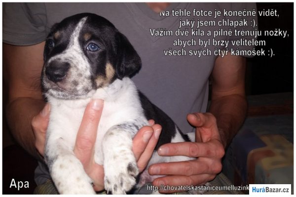 detailní fotografie