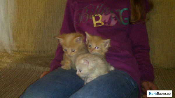 detailní fotografie