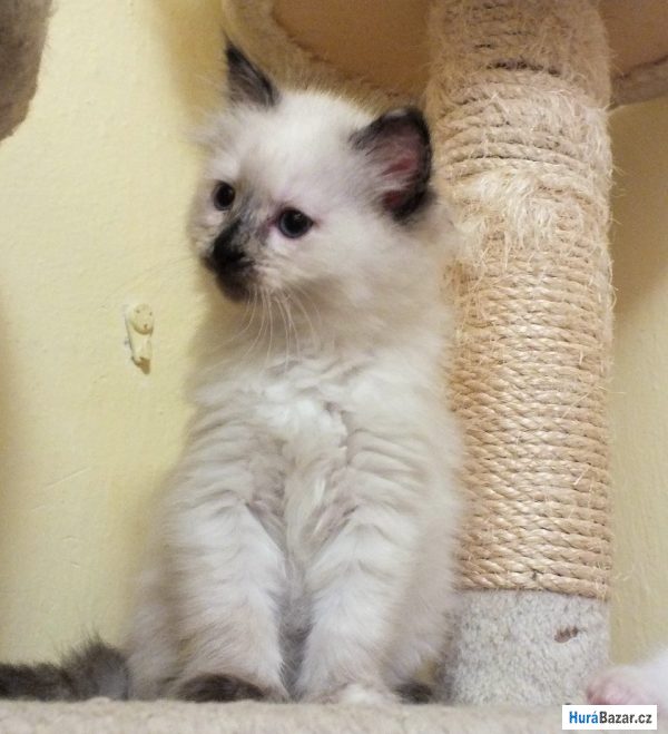 detailní fotografie