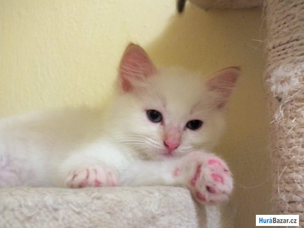 detailní fotografie