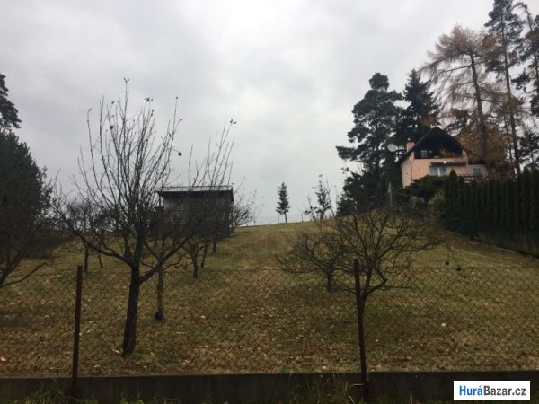 detailní fotografie