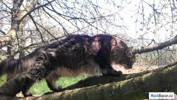 detailní fotografie