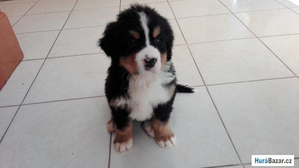 detailní fotografie