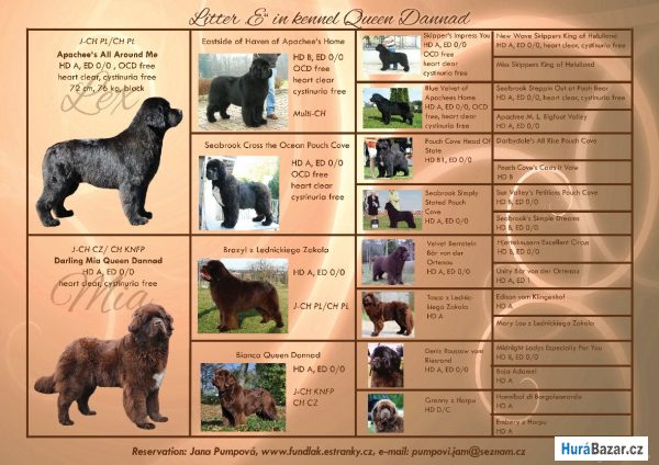 detailní fotografie