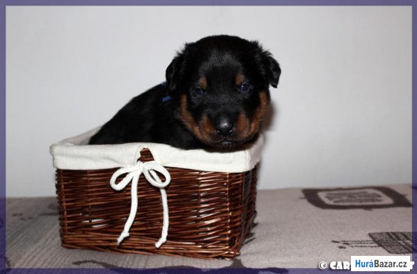 detailní fotografie