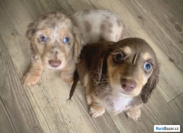 detailní fotografie