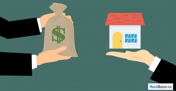 detailní fotografie