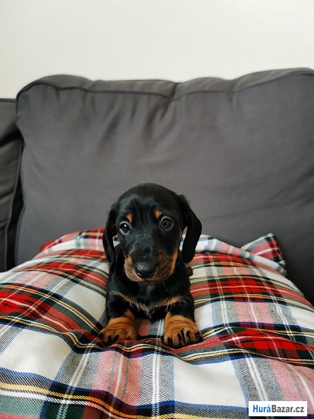 detailní fotografie