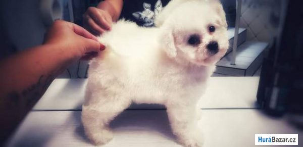 detailní fotografie