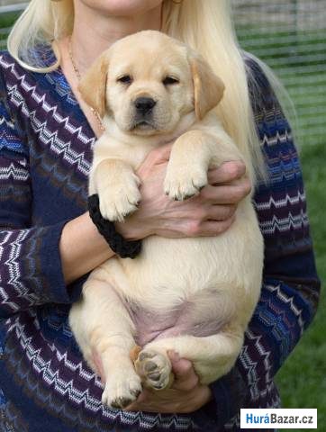 detailní fotografie