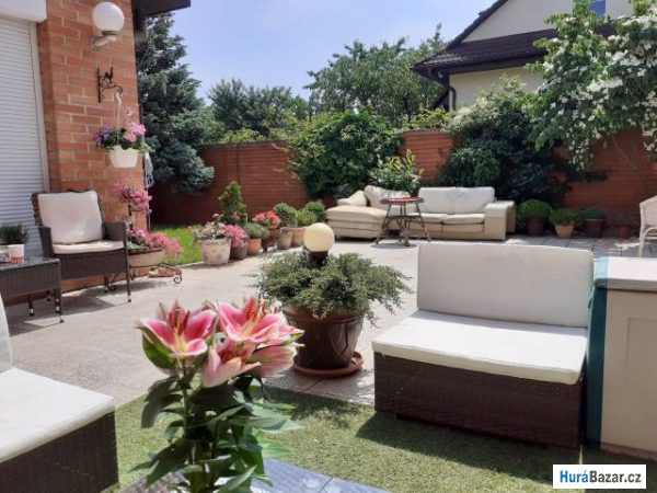 detailní fotografie