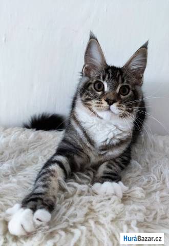 detailní fotografie