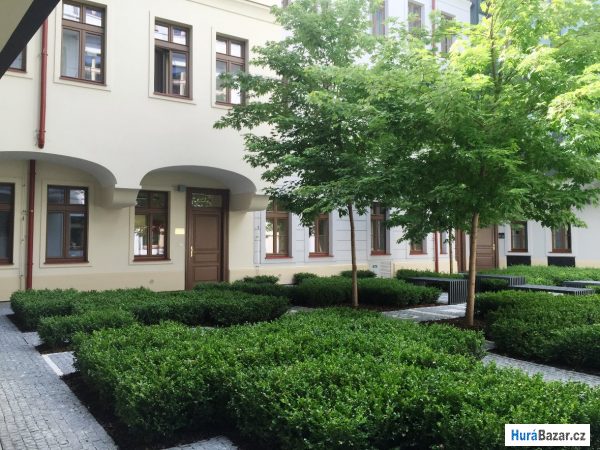 detailní fotografie