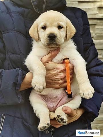 detailní fotografie