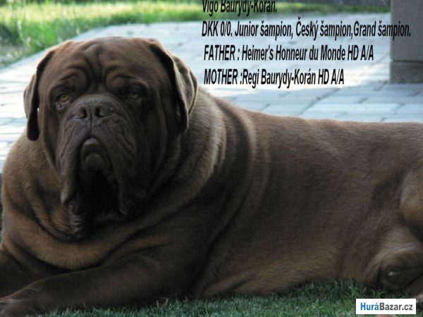 detailní fotografie