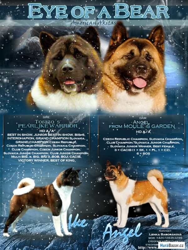 detailní fotografie