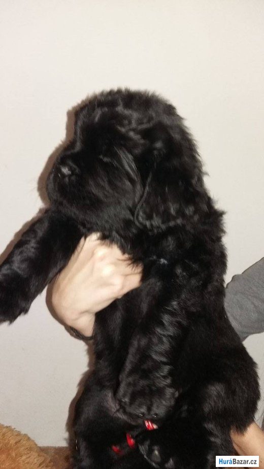 detailní fotografie