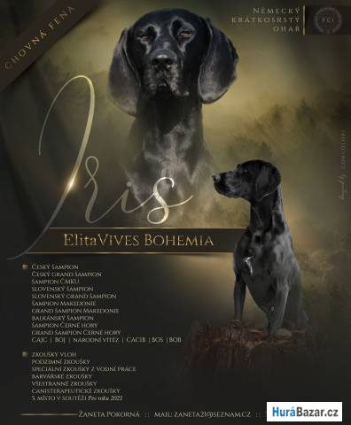 detailní fotografie