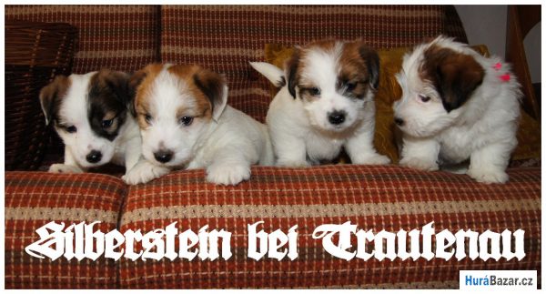 detailní fotografie