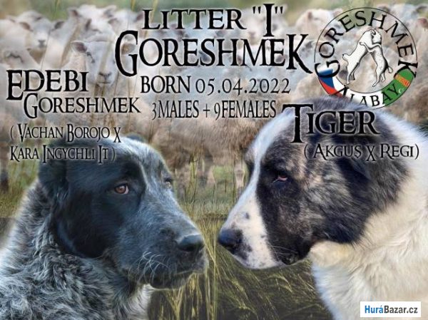 detailní fotografie