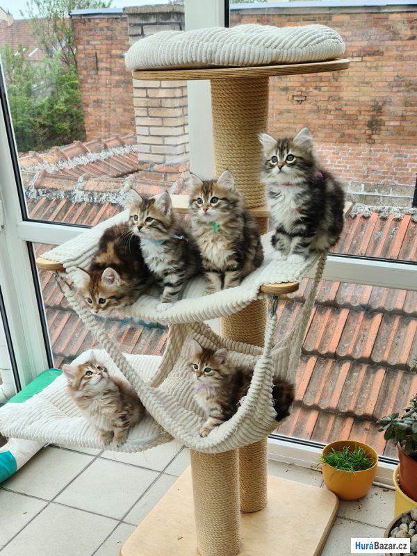 detailní fotografie