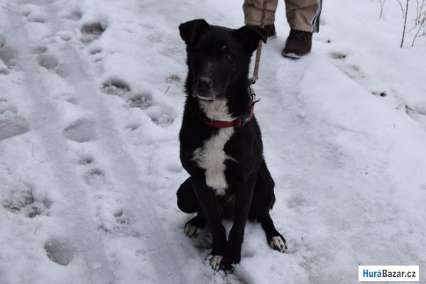 detailní fotografie