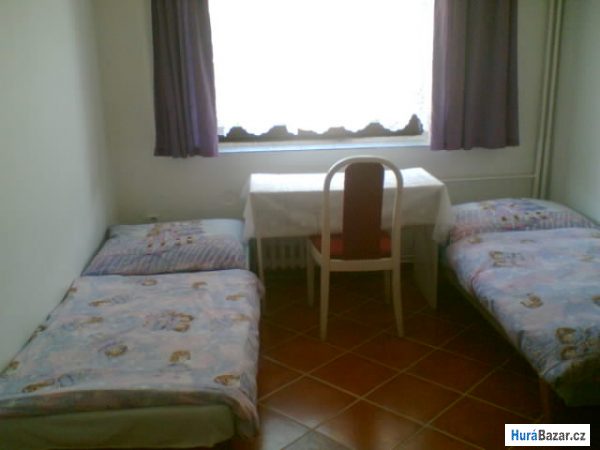 detailní fotografie