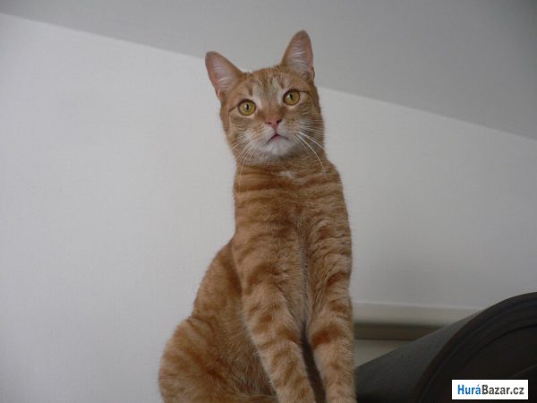 detailní fotografie