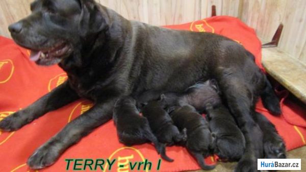 detailní fotografie