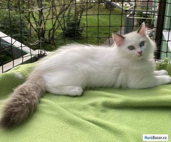 detailní fotografie