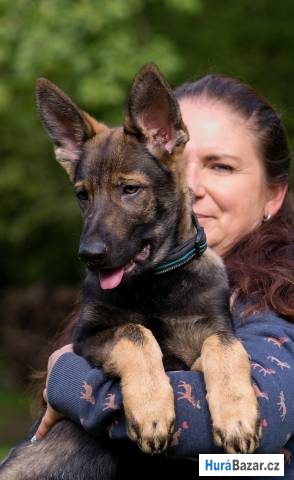 detailní fotografie