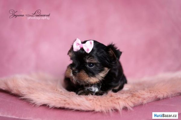 detailní fotografie