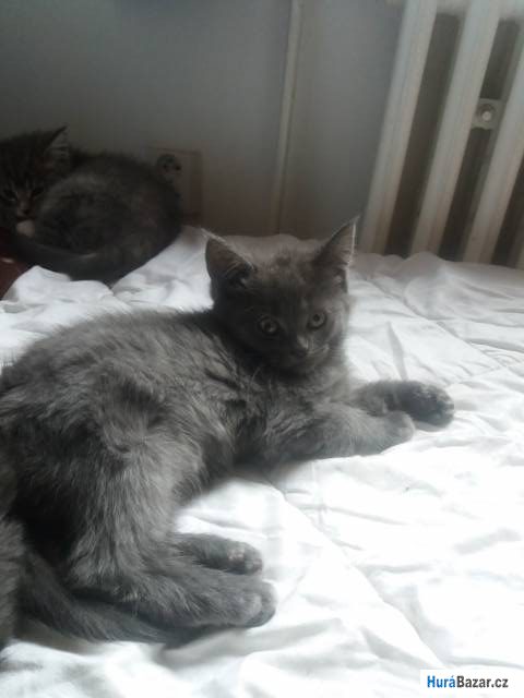 detailní fotografie