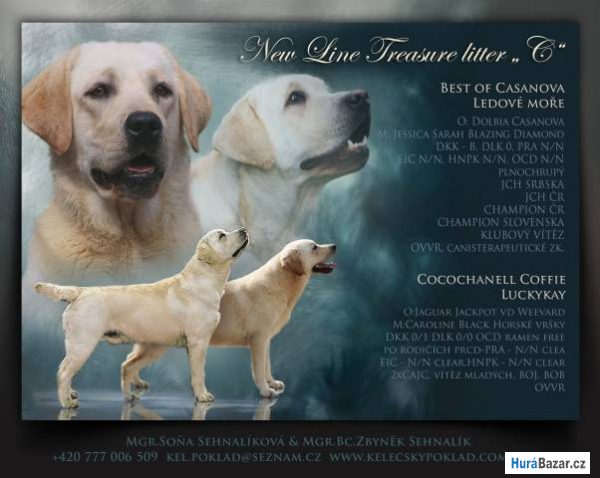 detailní fotografie