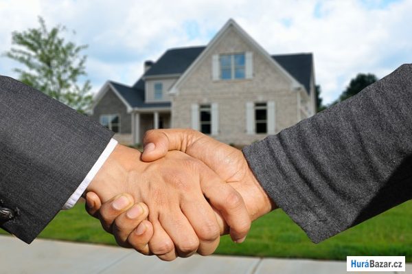 detailní fotografie