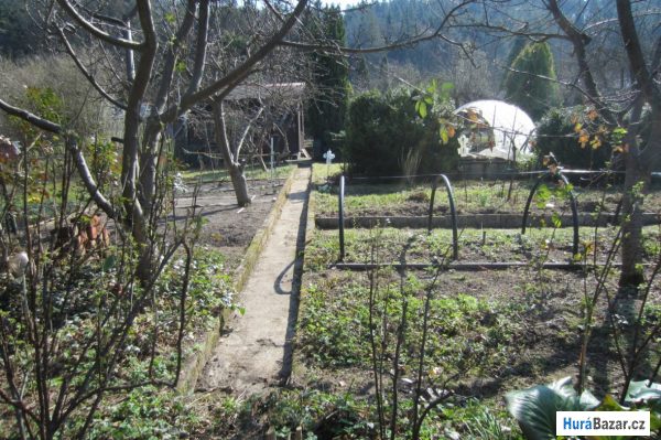 detailní fotografie