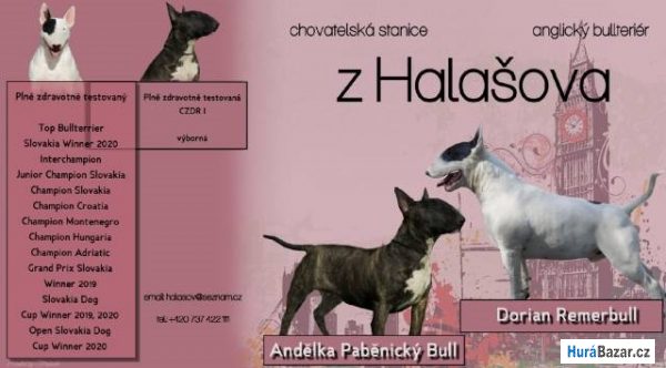 detailní fotografie