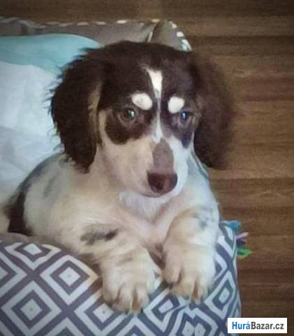 detailní fotografie