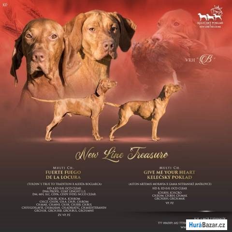 detailní fotografie