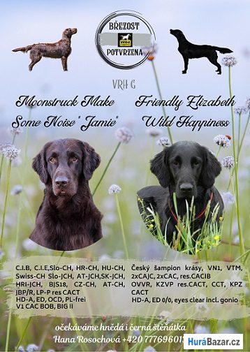 detailní fotografie