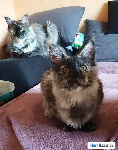 detailní fotografie