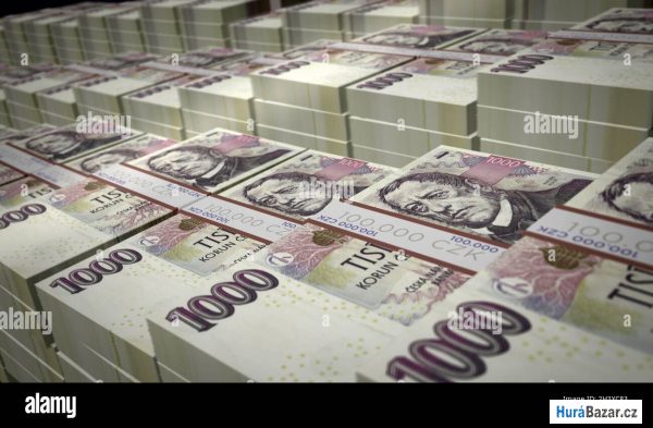 detailní fotografie