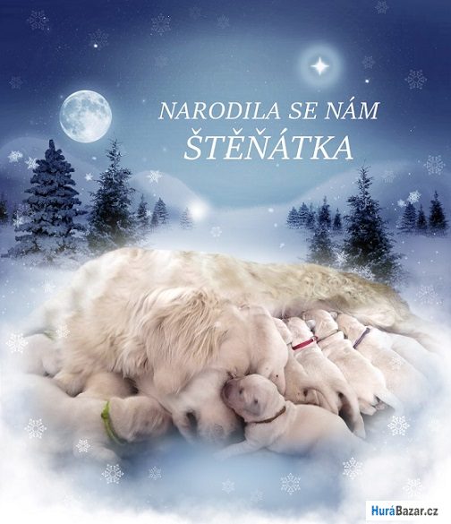 detailní fotografie