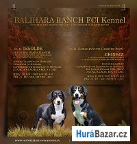 detailní fotografie