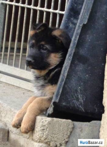 detailní fotografie