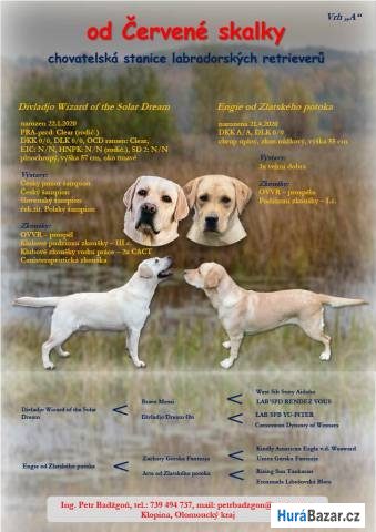 detailní fotografie