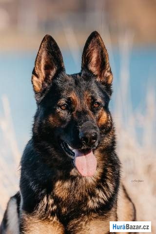 detailní fotografie