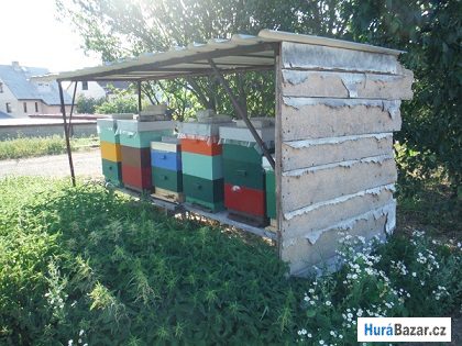 detailní fotografie