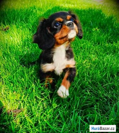 detailní fotografie